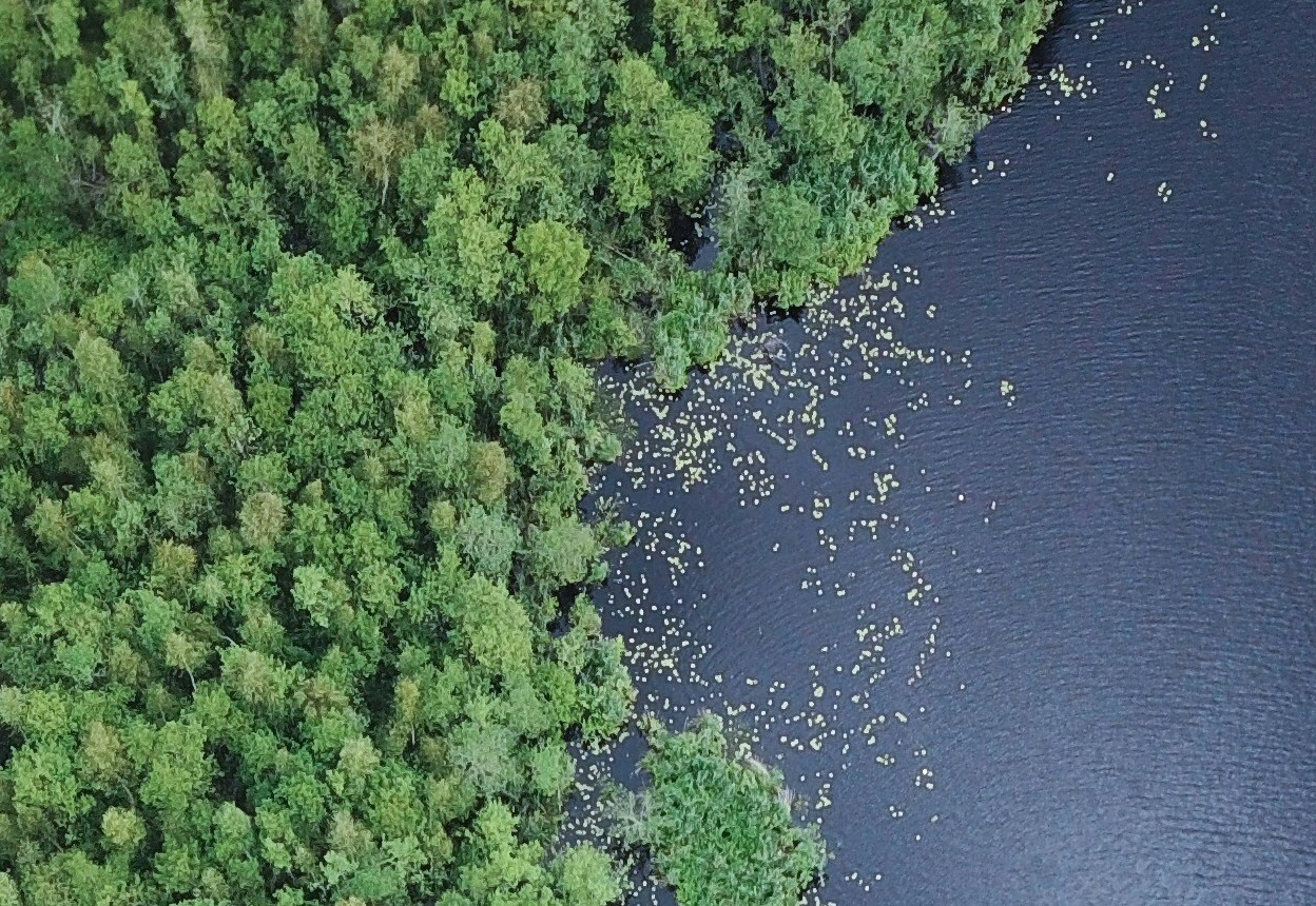 Background for avatar